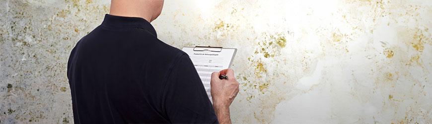 Main Goals of a Mold Inspection by Midwest Healthy Home Solutions Serving