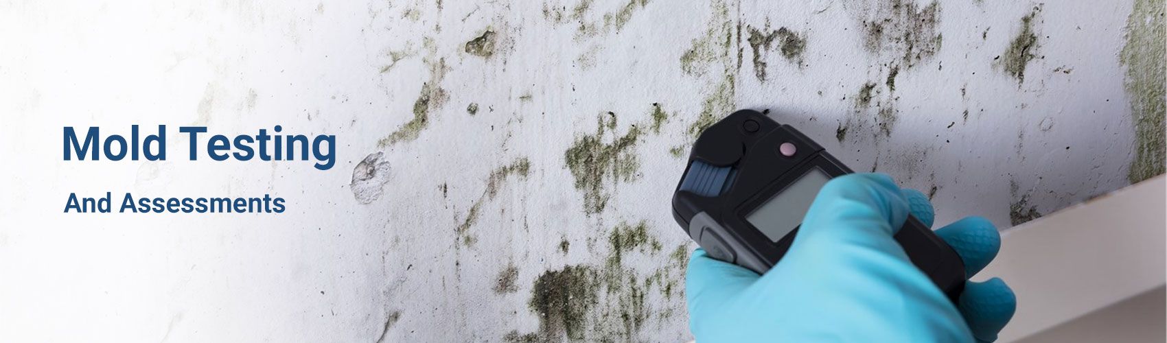 Professional mold testing with advanced tools to detect indoor mold growth