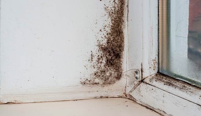 Black mold accumulation along white window frame and windowsill corner