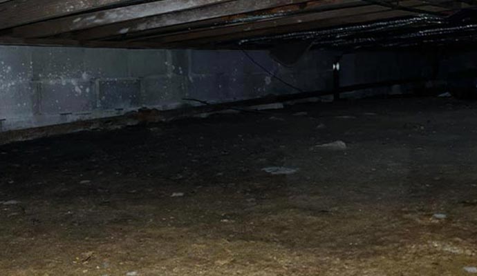 Crawl space water leak