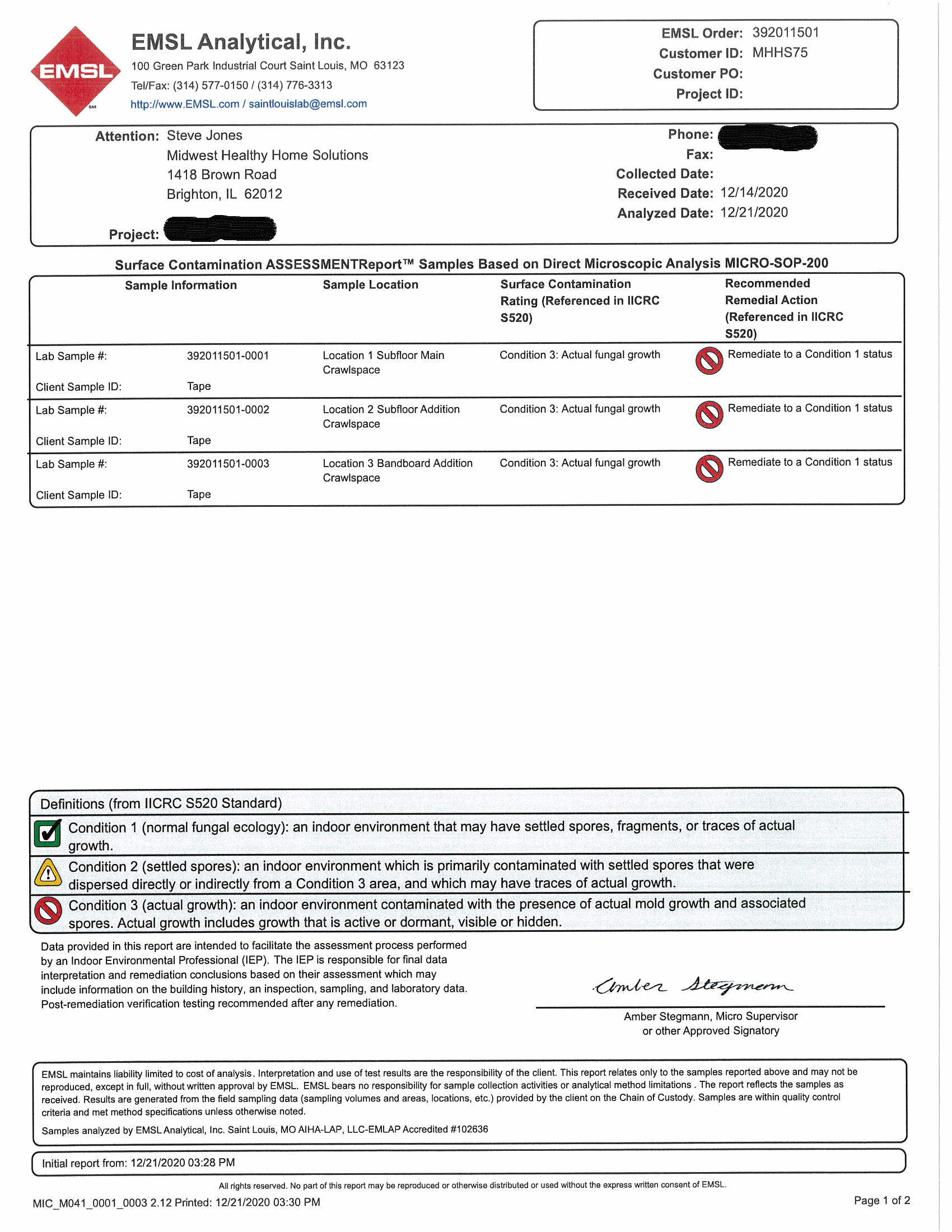 Mold Report