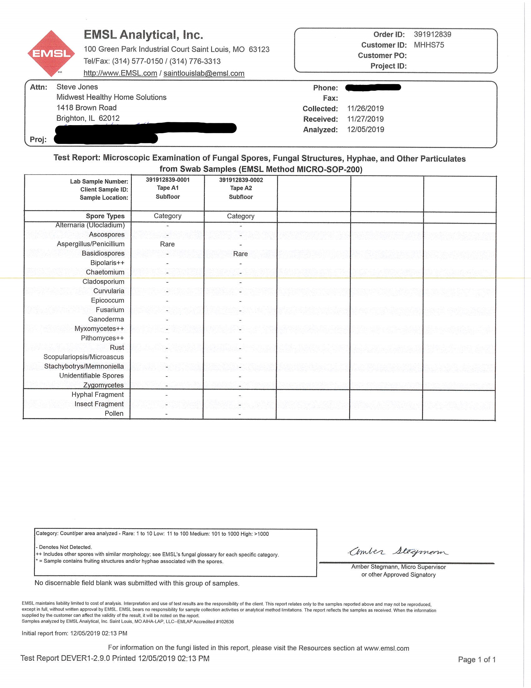 Mold Report