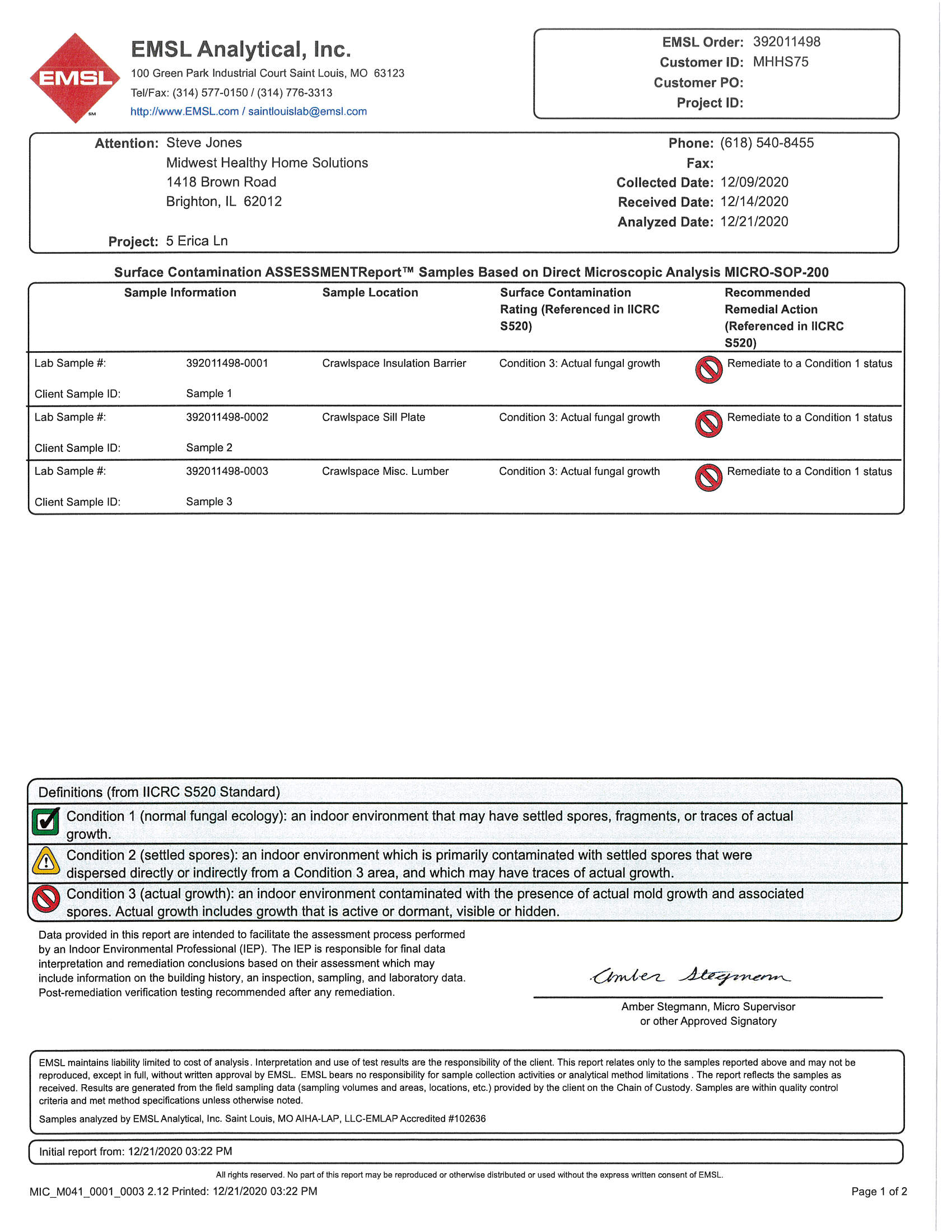 Mold Report