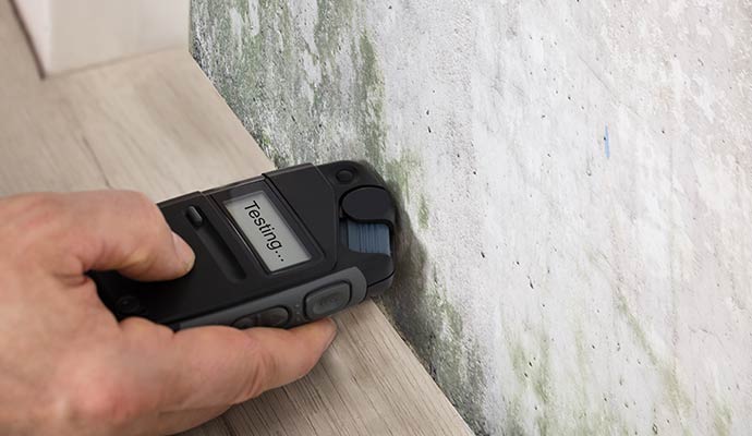 Technician using a digital moisture meter to test a damp wall with mold growth