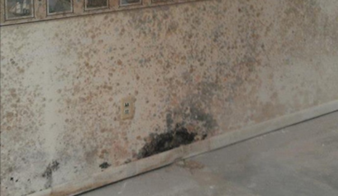 Black mold damaged interior wall