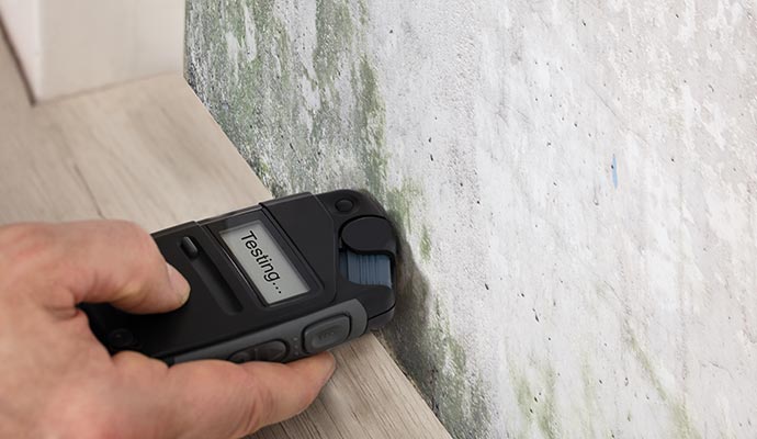 A person is testing mold using moisture meter