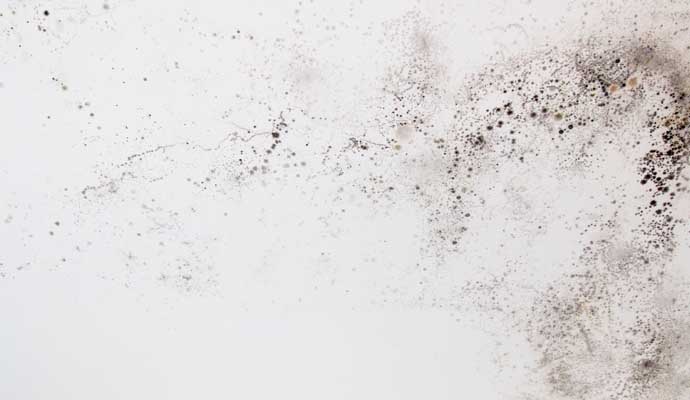 Wall with black mold