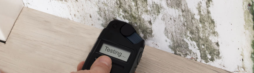 Person testing mold using device