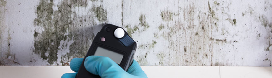 Professional mold testing using device