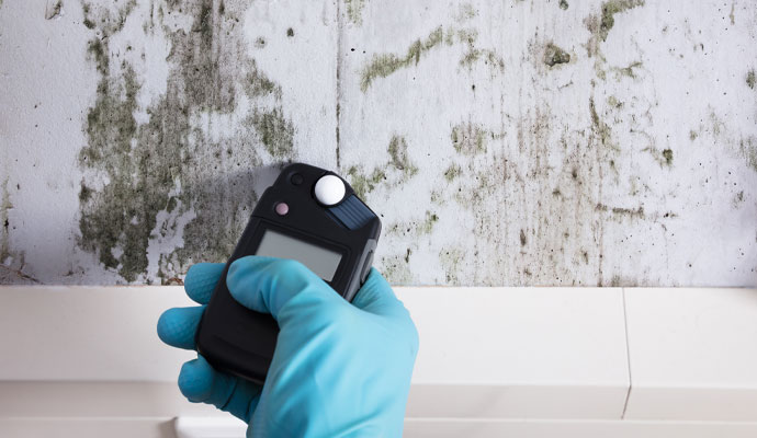 Professional testing mold on a moldy wall