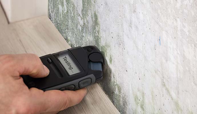 Mold testing using moisture meter