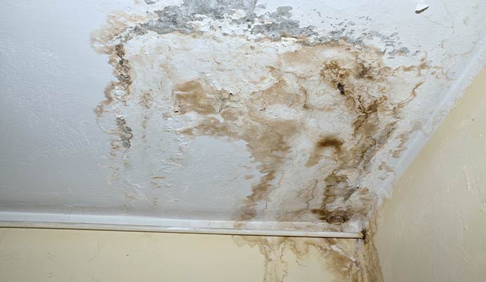 Severe brown water stain and peeling paint on ceiling and wall corner