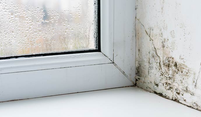 Heavy window condensation with damp cracked wall showing mold growth